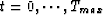 $t=0,\cdots,T_{max}$