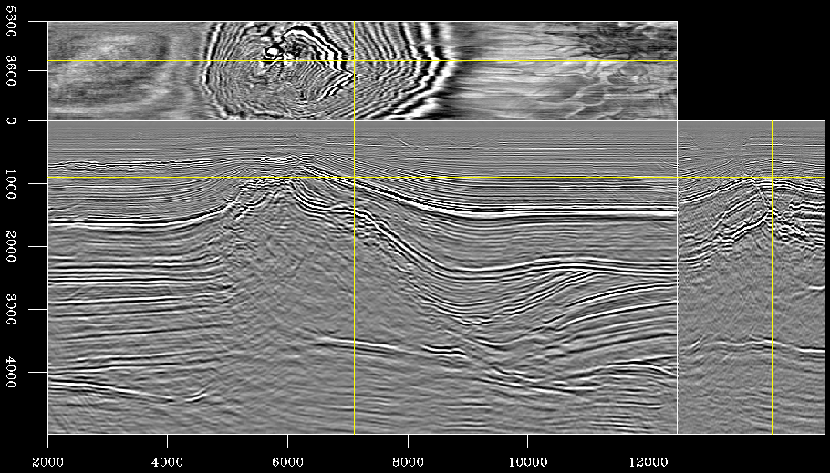 3-D seismic image (depth migrated)