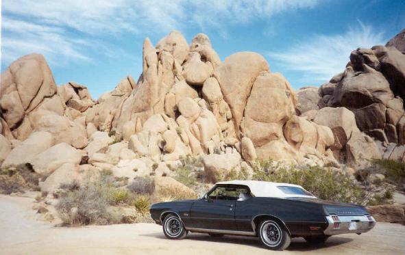 Stella at Joshua Tree